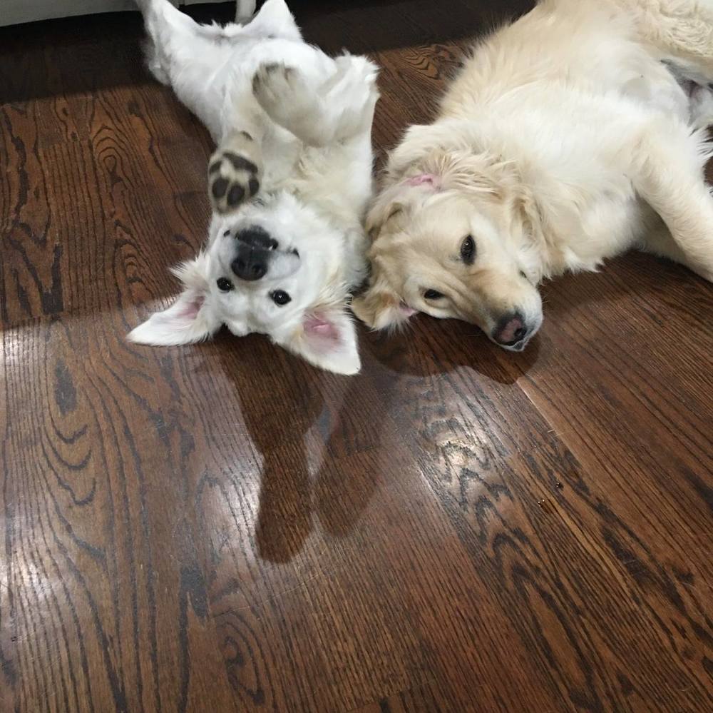 Meet your Posher, Melissa